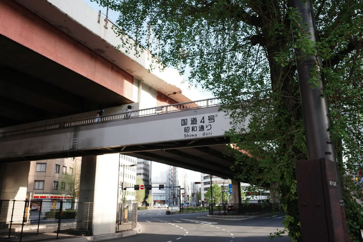 东京街拍 photo 19