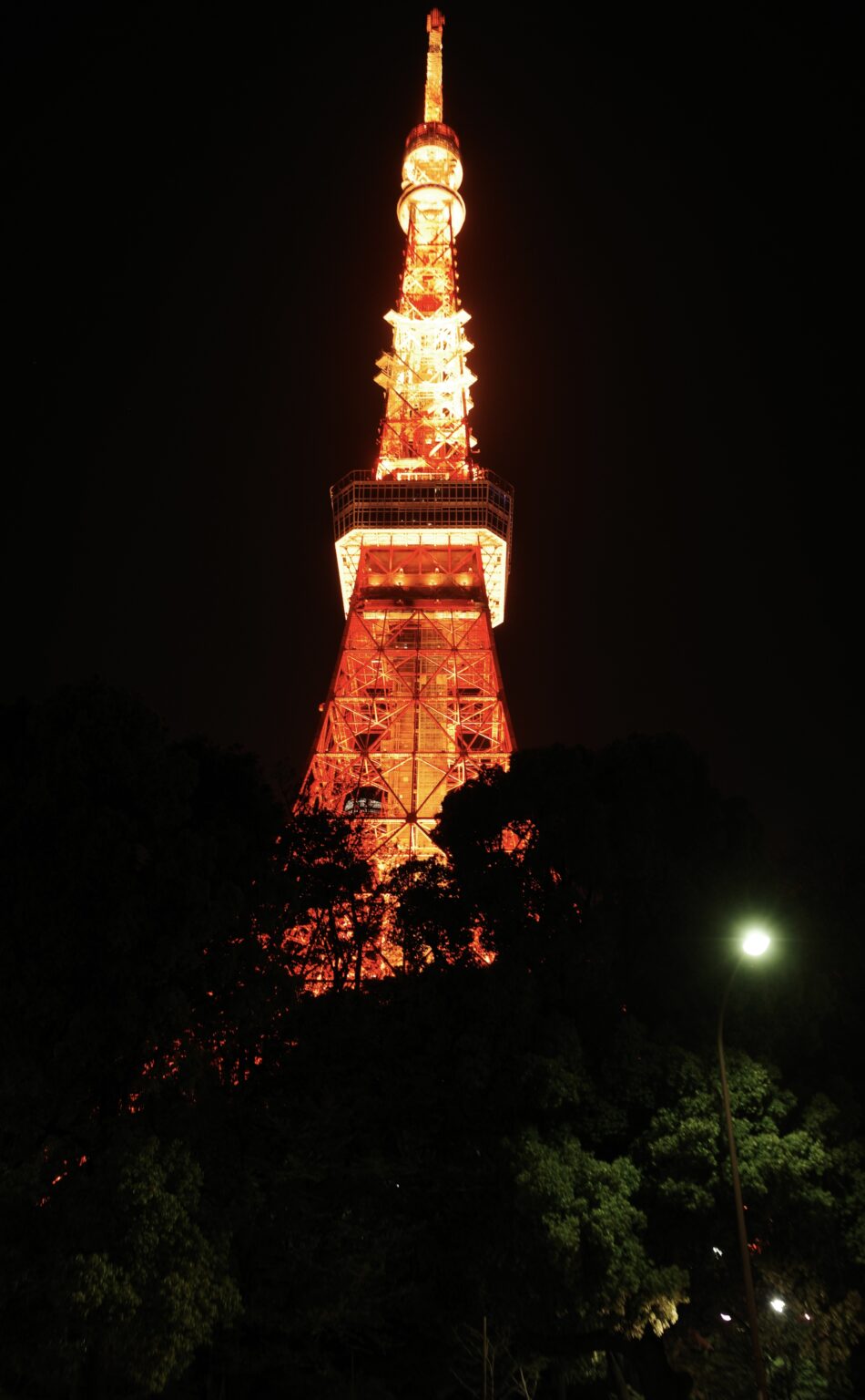 东京塔的哈基米 photo 1