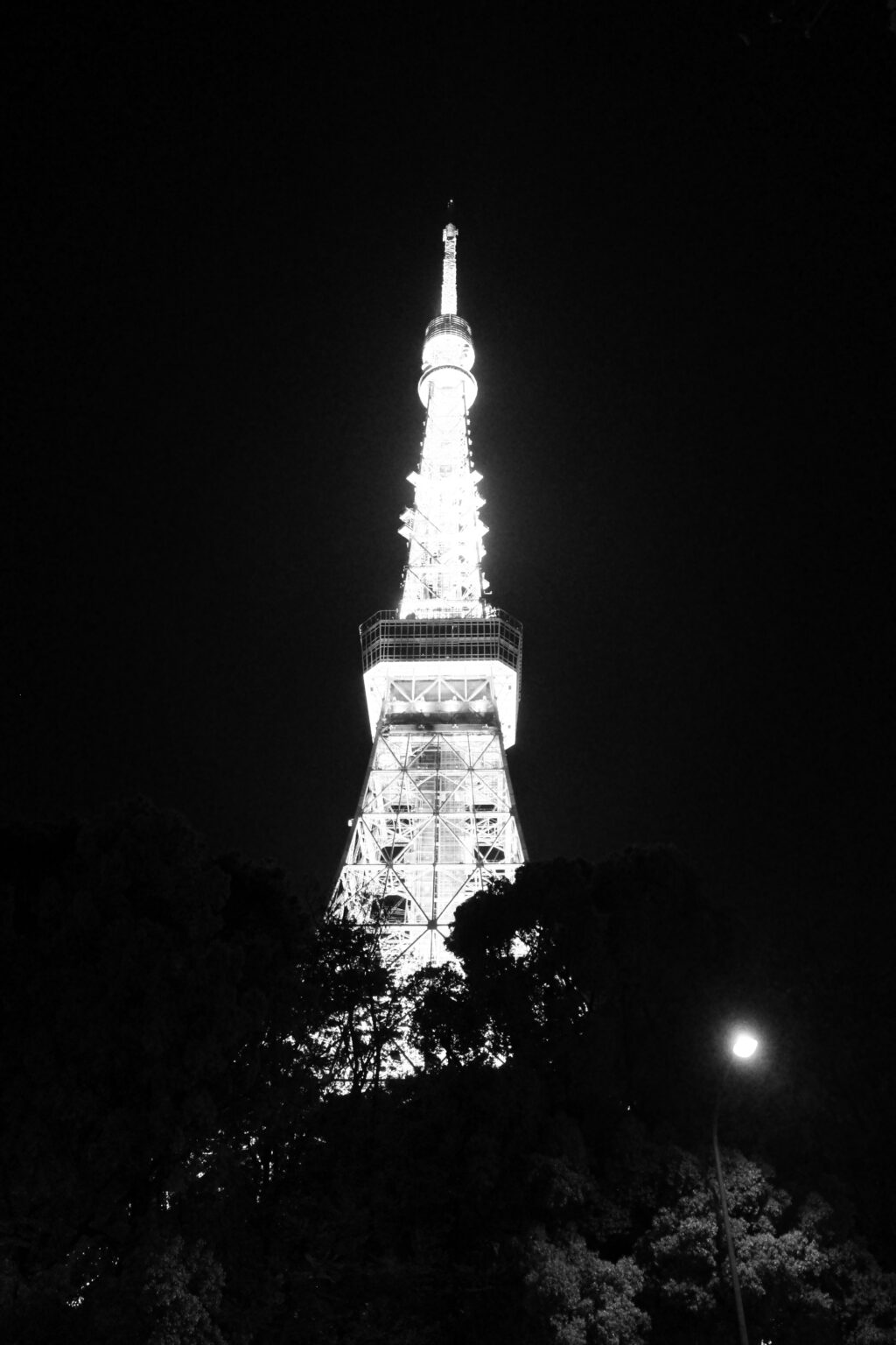 东京塔的哈基米 photo 2