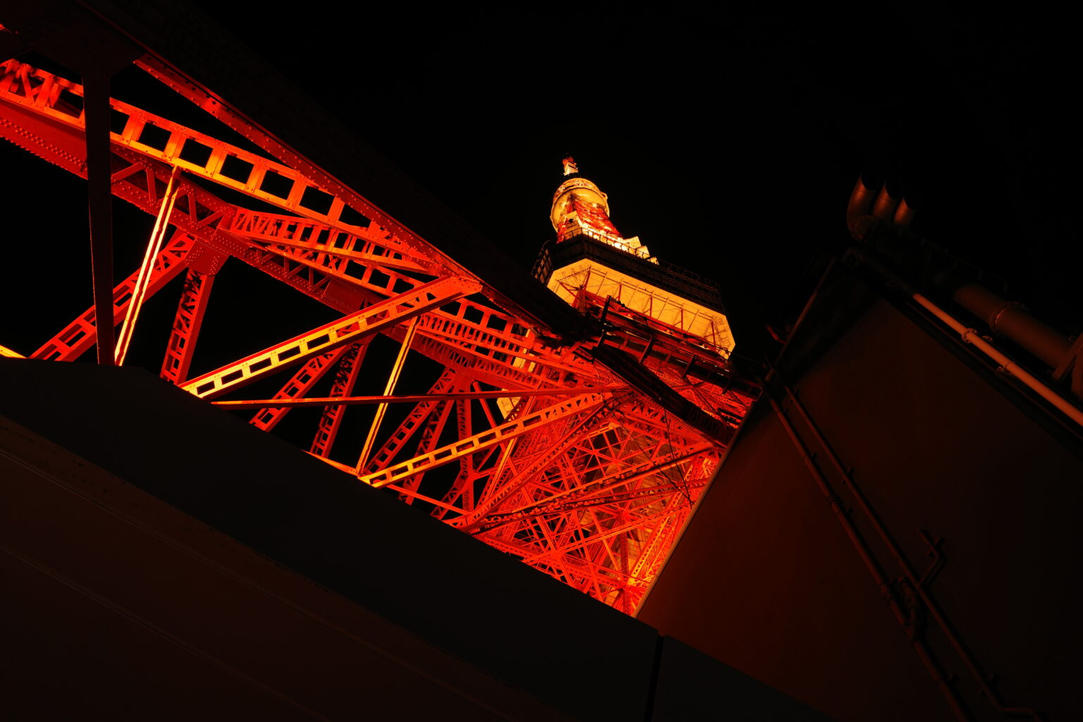 东京塔的哈基米 photo 17