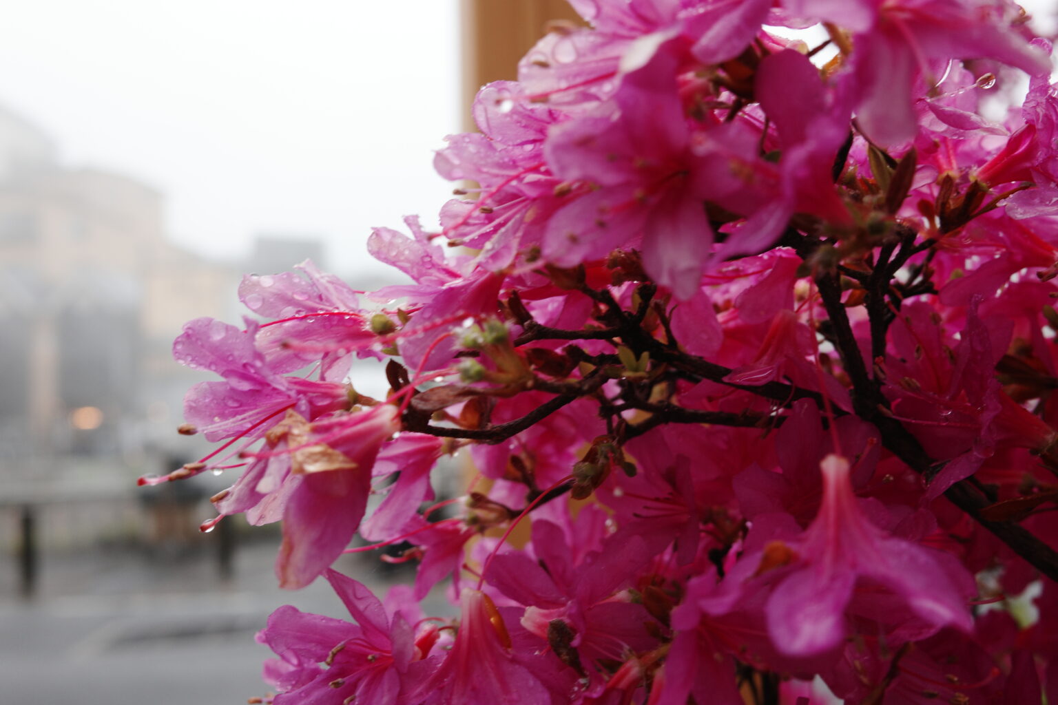 草津温泉 photo 27