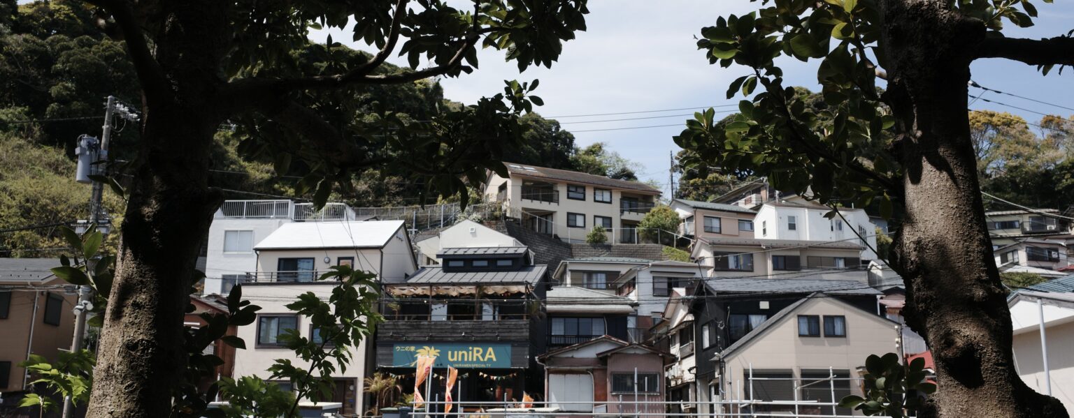 江之岛哈基米 photo 6