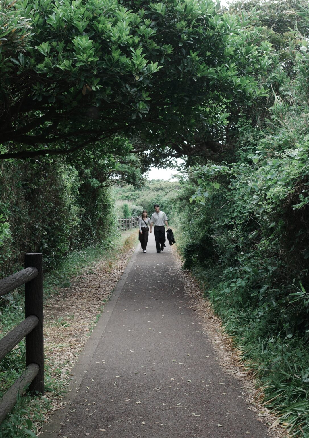 城之岛 photo 5