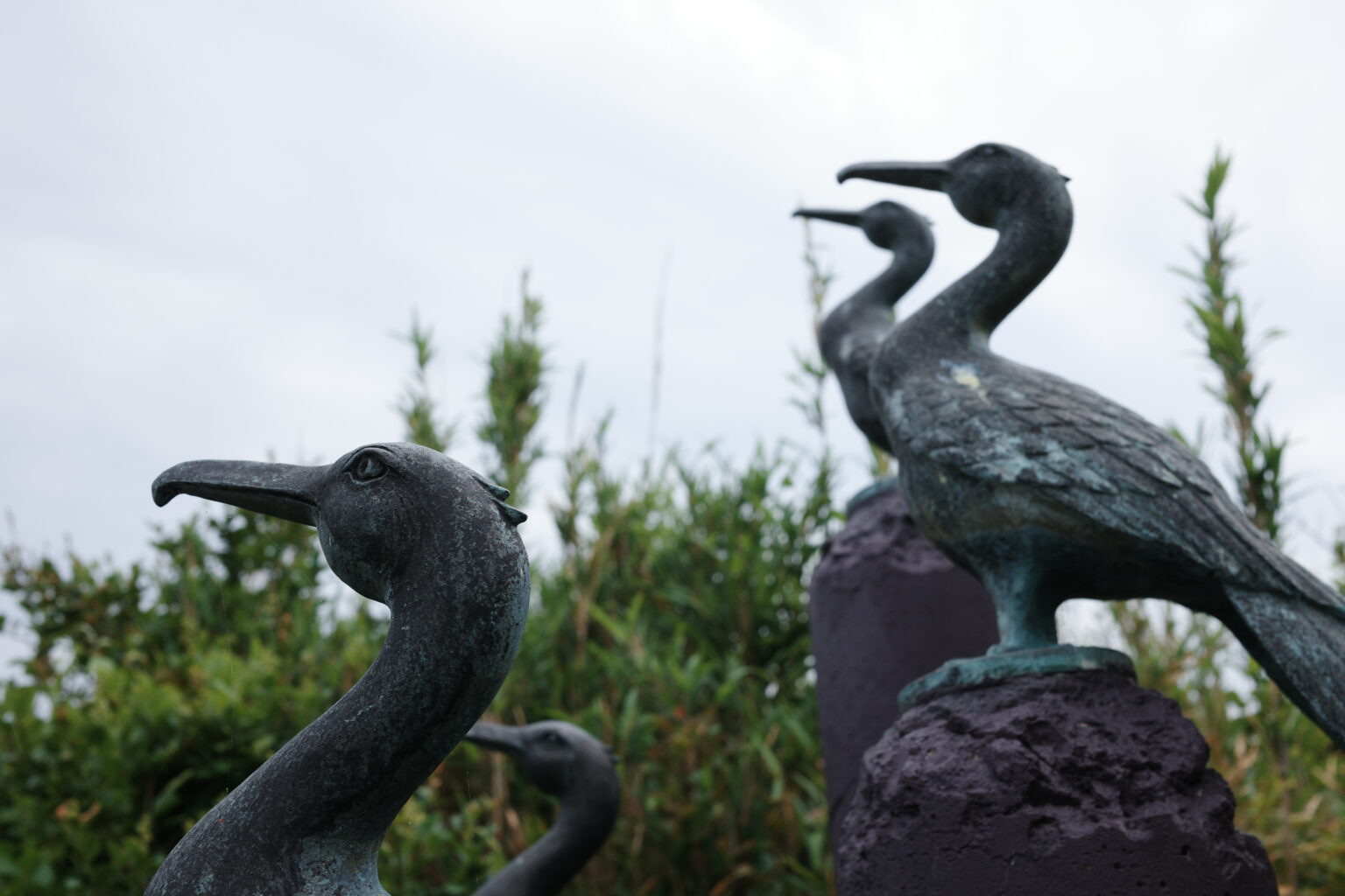 城之岛 photo 7